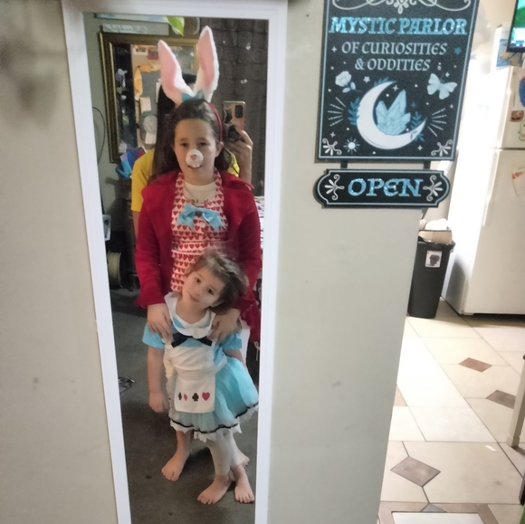 Alice in wonderland costume - Picture 8 of 8